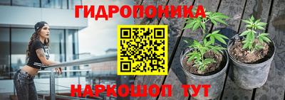 трава Заволжье