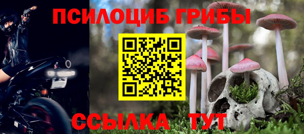 Галлюциногенные грибы мицелий  Вход с VPN  Муром 